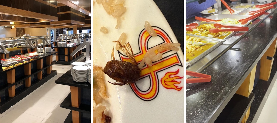 Hibachi Grill and Supreme Buffet Menu